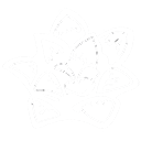 The Haworthia Society